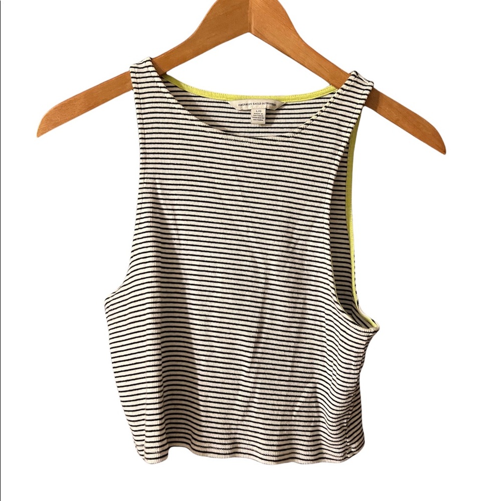 American Eagle Striped Crop Top